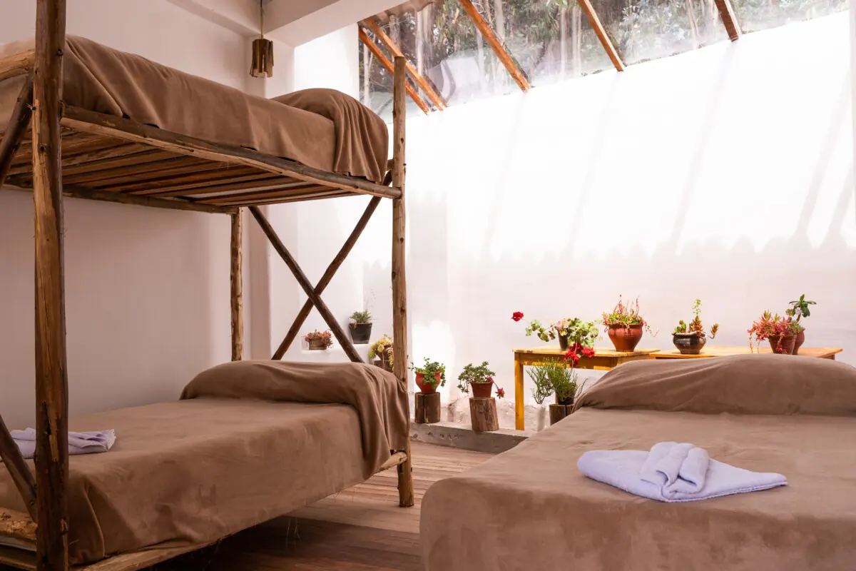 Accommodation with beds and plants